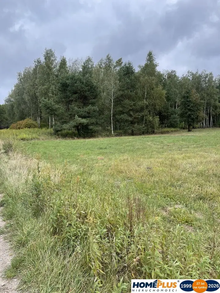 Zdjęcie 3