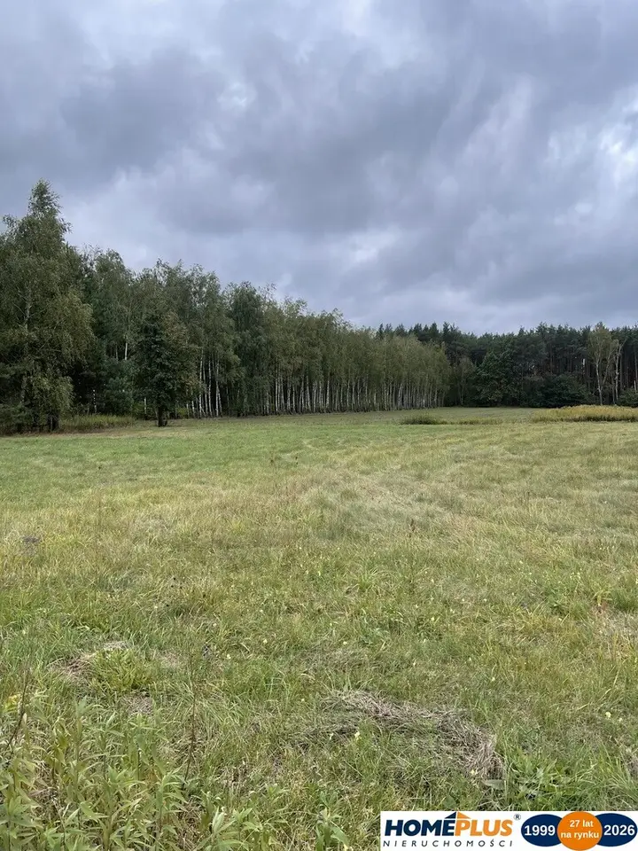 Zdjęcie 4