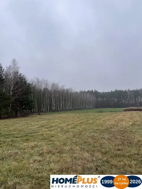Zdjęcie 3