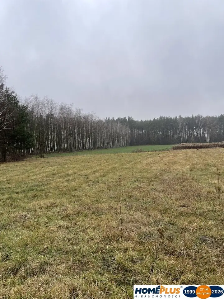 Zdjęcie 6