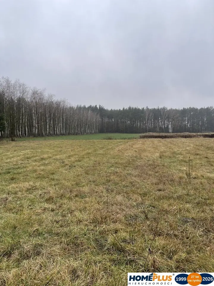 Zdjęcie 7