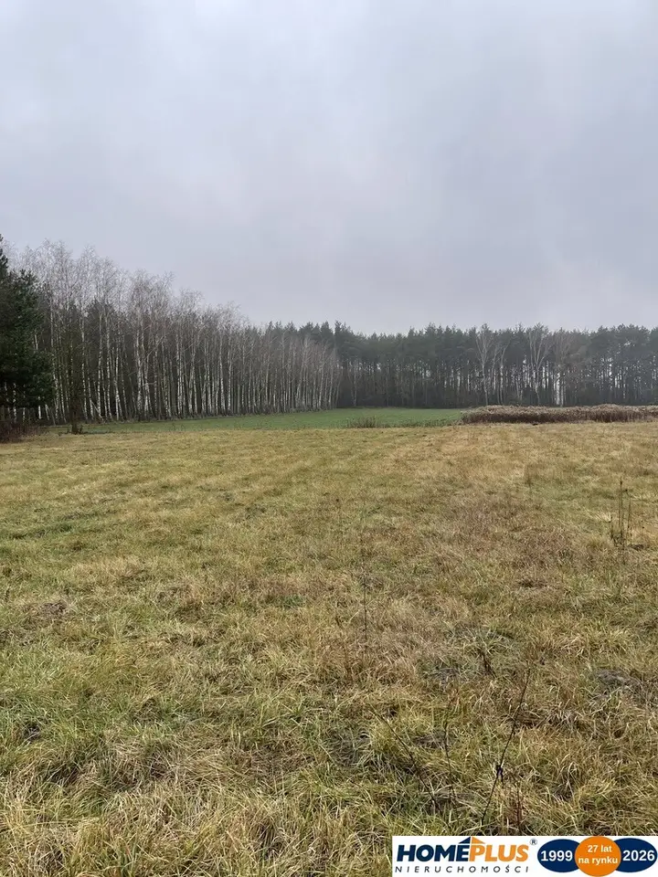 Zdjęcie 8
