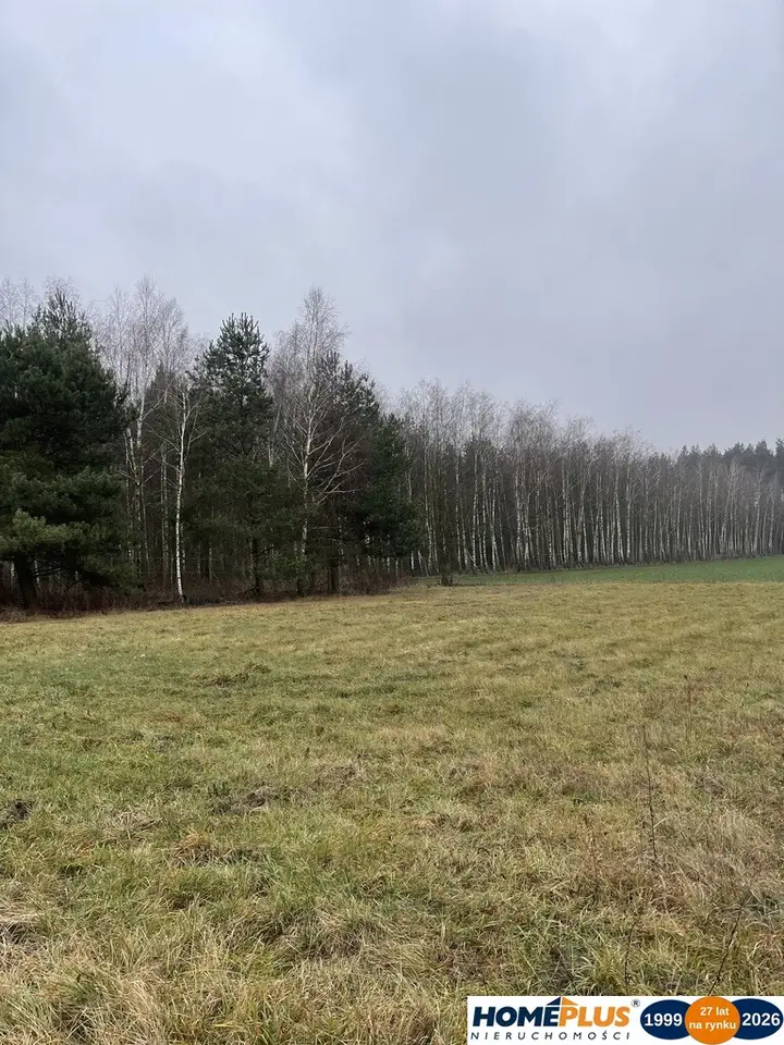 Zdjęcie 9