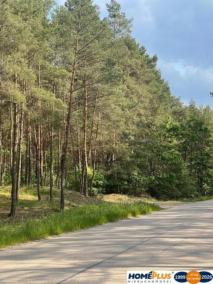 Działka budowlana 6 883 m², Ruda