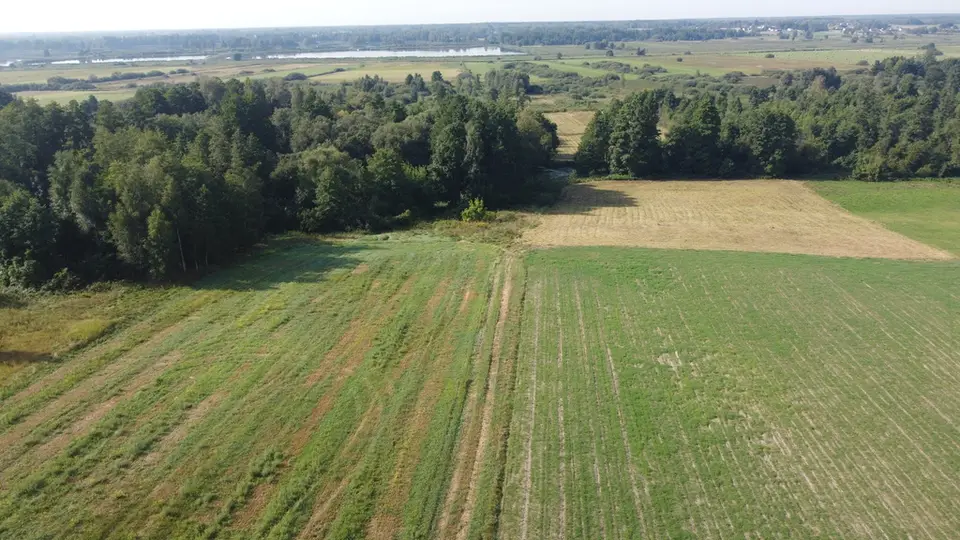 Działka budowlana 1,84 ha, Żminne