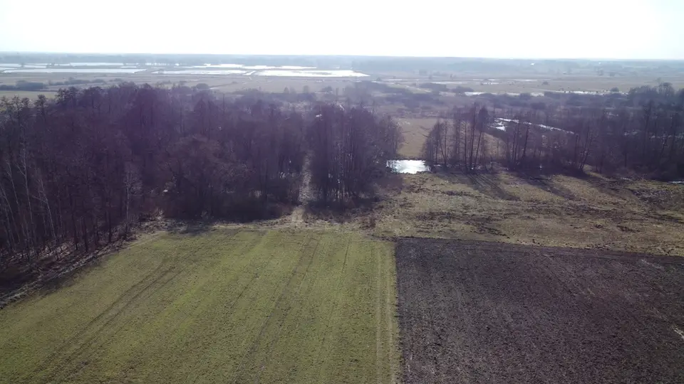 Zdjęcie 11