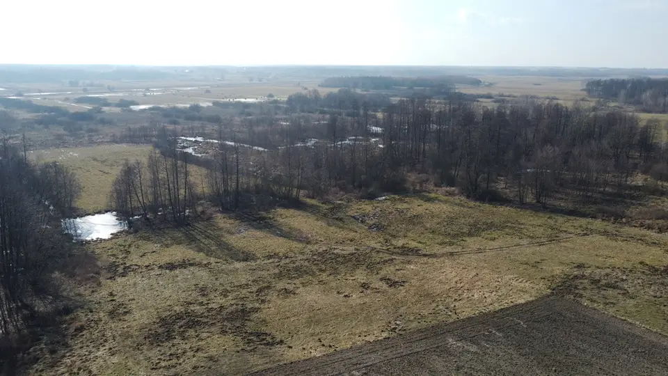Zdjęcie 12