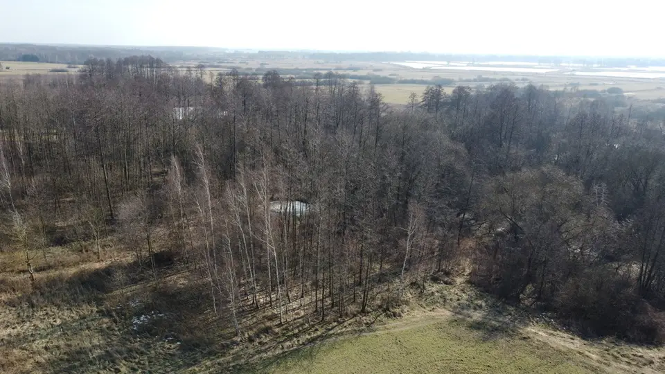 Zdjęcie 13