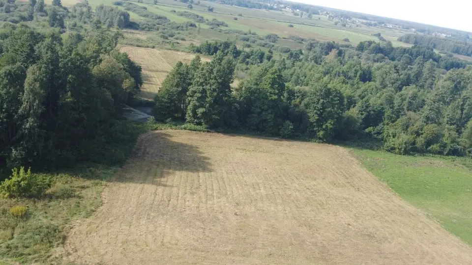 Zdjęcie 17