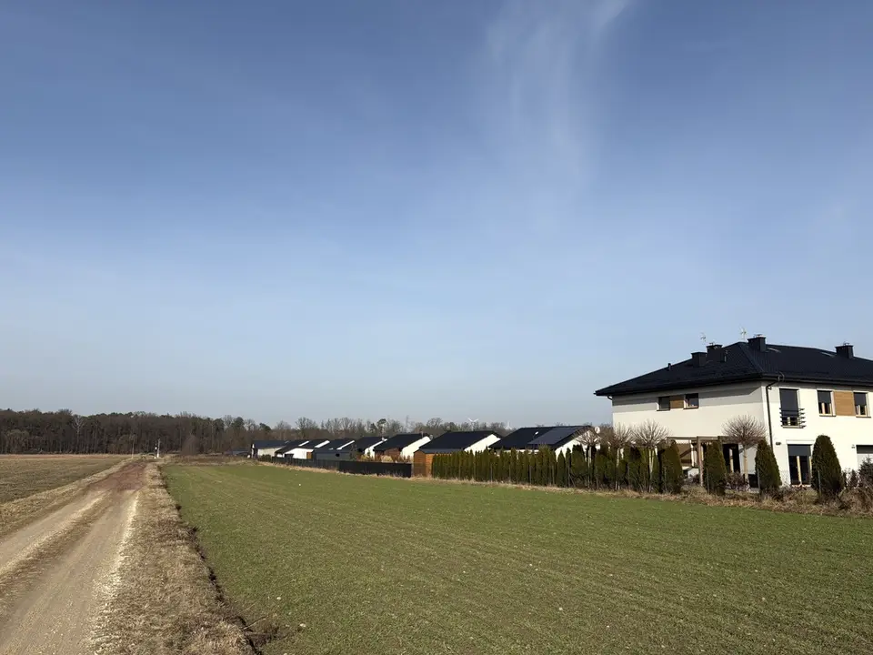 Zdjęcie 10