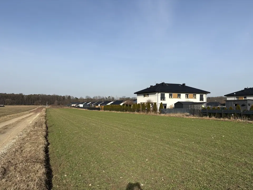 Zdjęcie 11