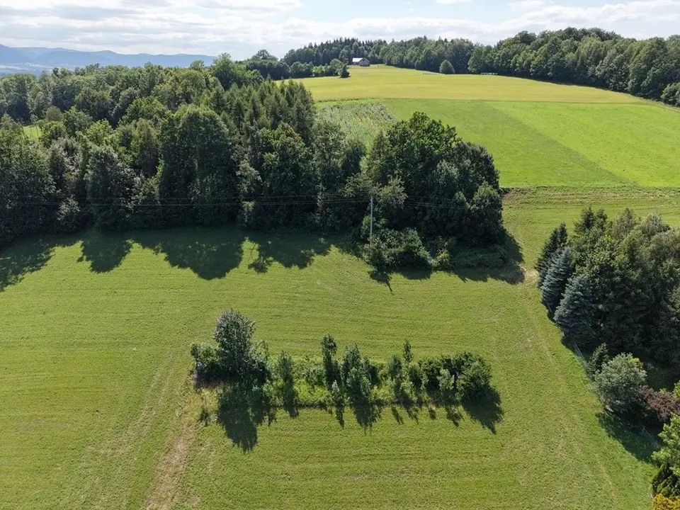 Działka budowlana 2 873 m², Dzięgielów