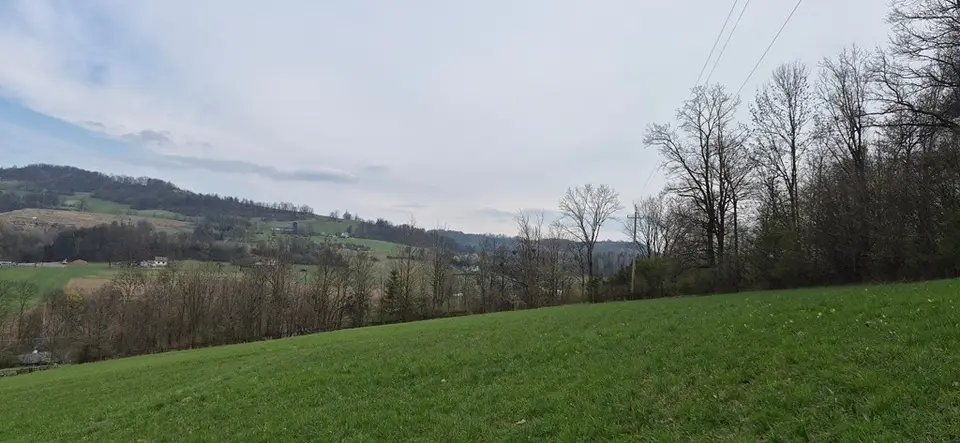Zdjęcie 12