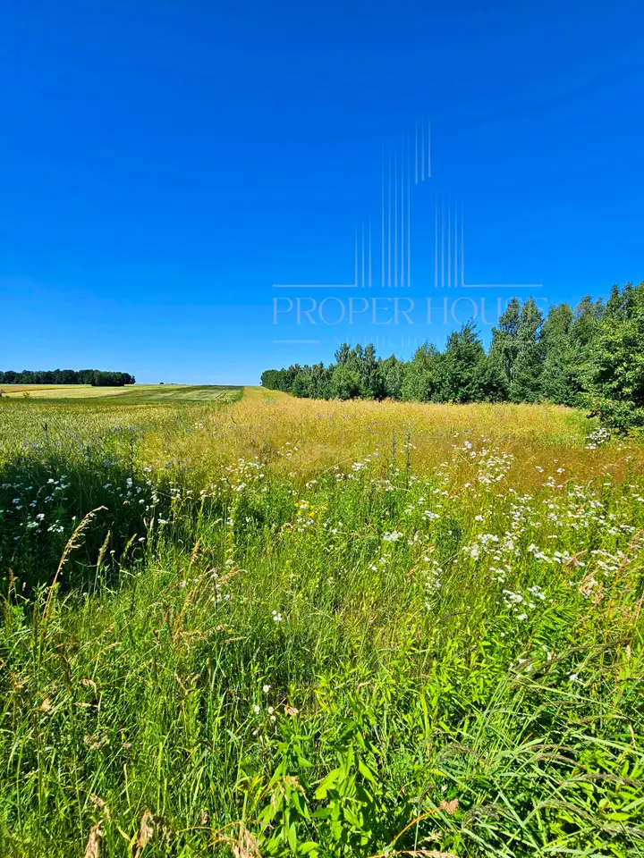 Działka budowlana 2 000 m², Polanówka
