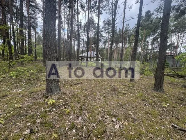 Zdjęcie 4