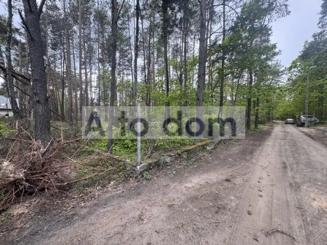 Zdjęcie 6