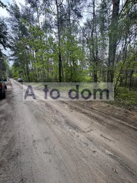 Zdjęcie 7