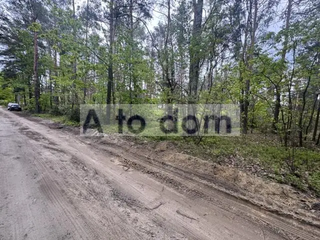 Zdjęcie 8