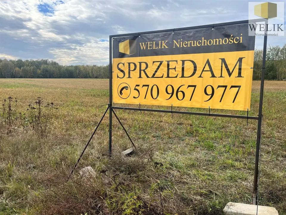 Zdjęcie 6