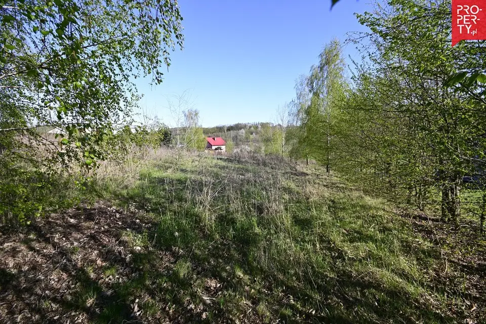 Zdjęcie 11