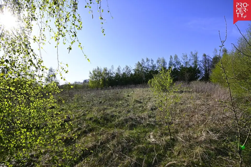 Zdjęcie 15