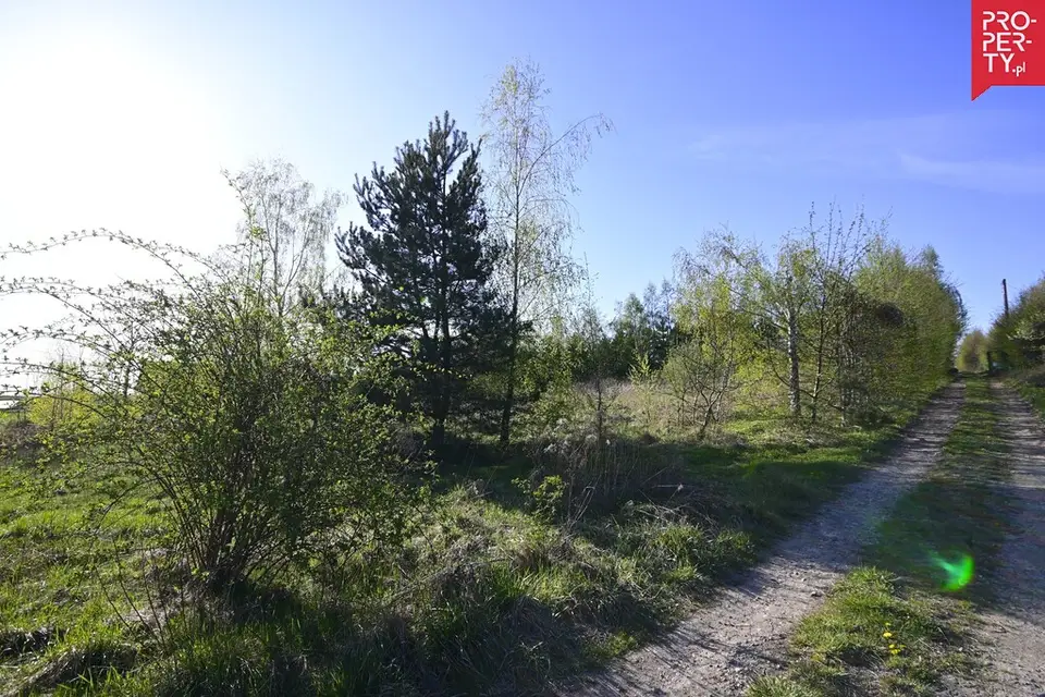 Zdjęcie 16