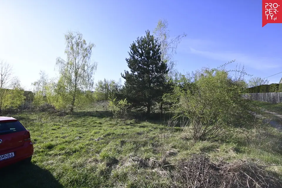 Zdjęcie 19
