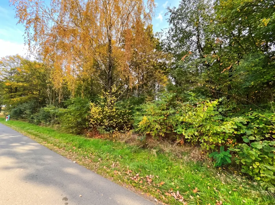 Zdjęcie 10