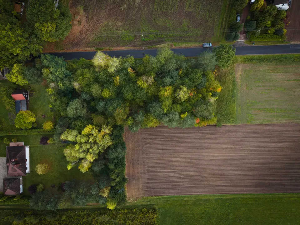 Zdjęcie 14