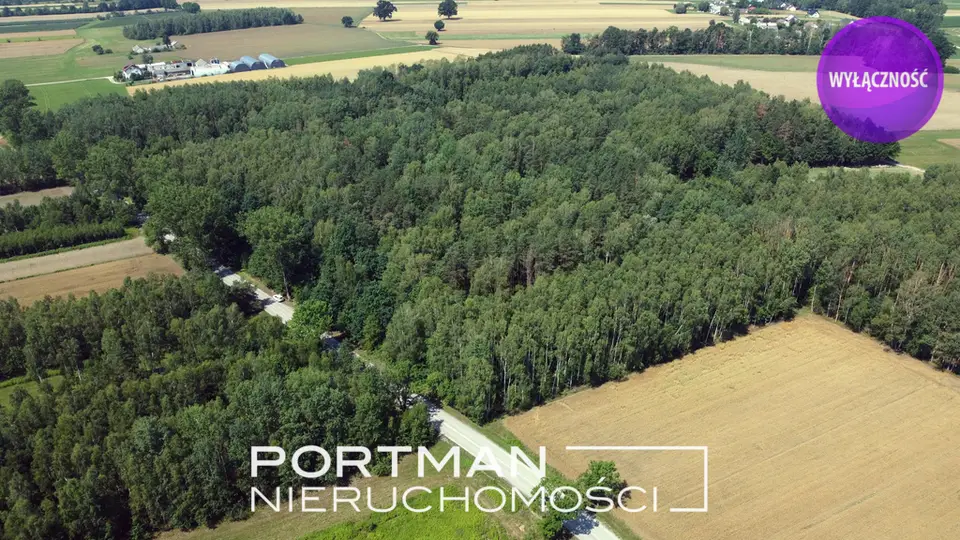 Działka budowlana 1,52 ha, Dobrzyniec