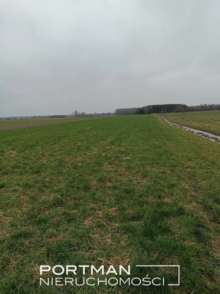 Działka rolna 1,78 ha, Lasomin