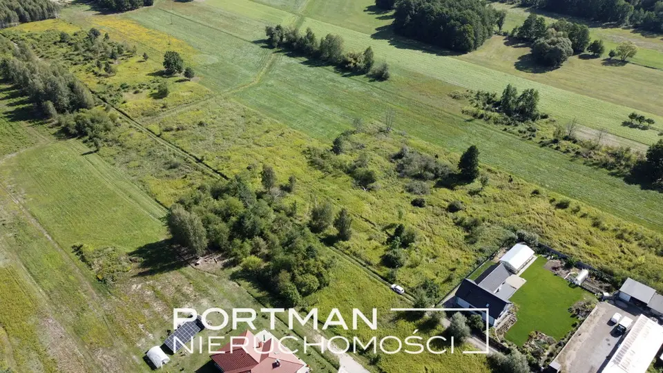 Zdjęcie 2