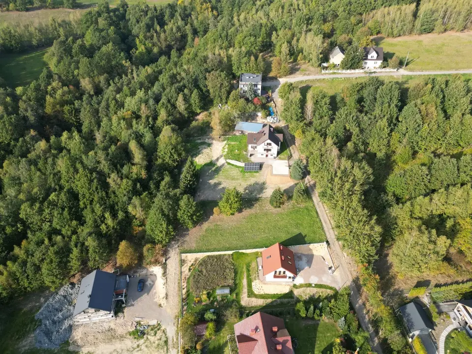 Zdjęcie 6
