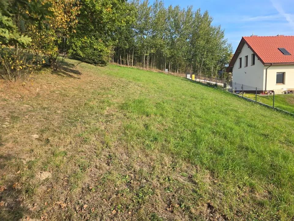 Zdjęcie 7