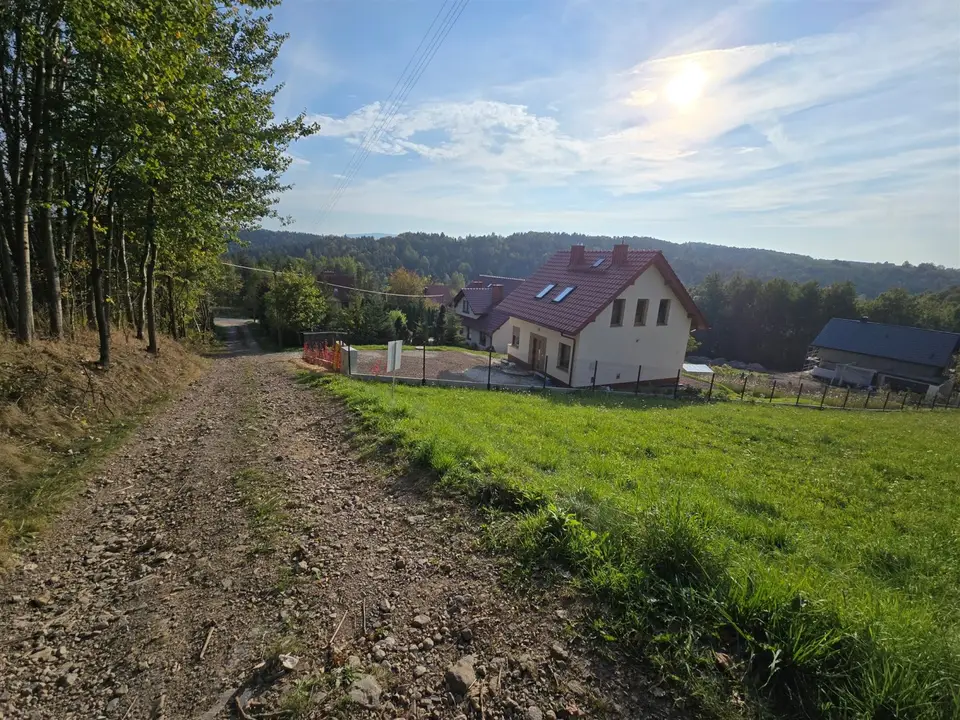 Zdjęcie 8