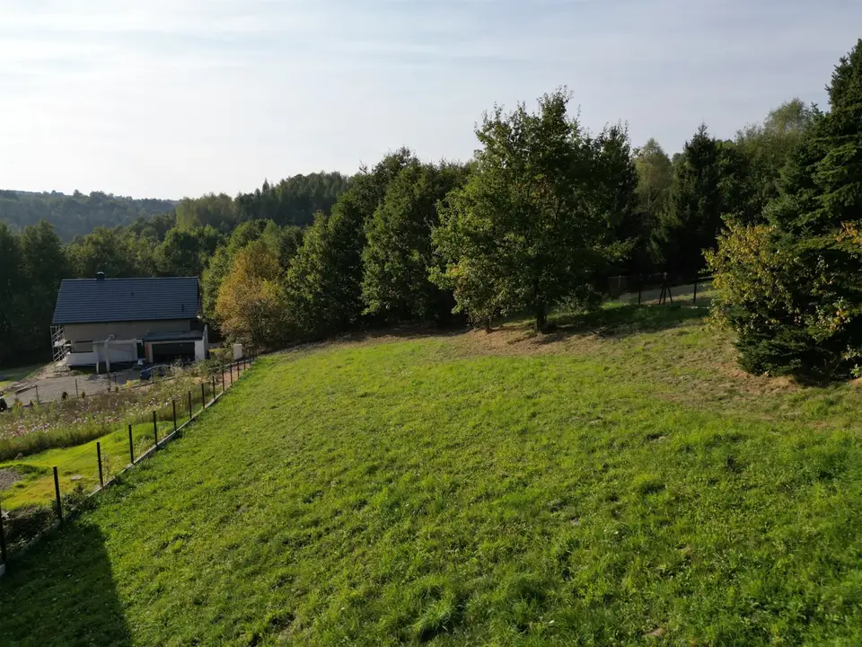 Zdjęcie 10