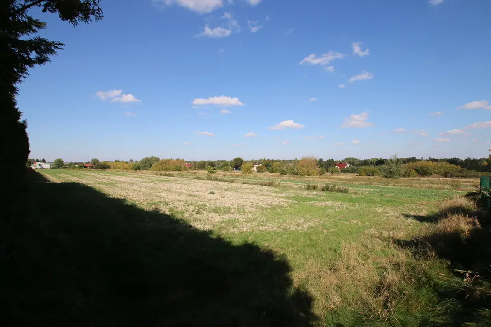 Zdjęcie 8
