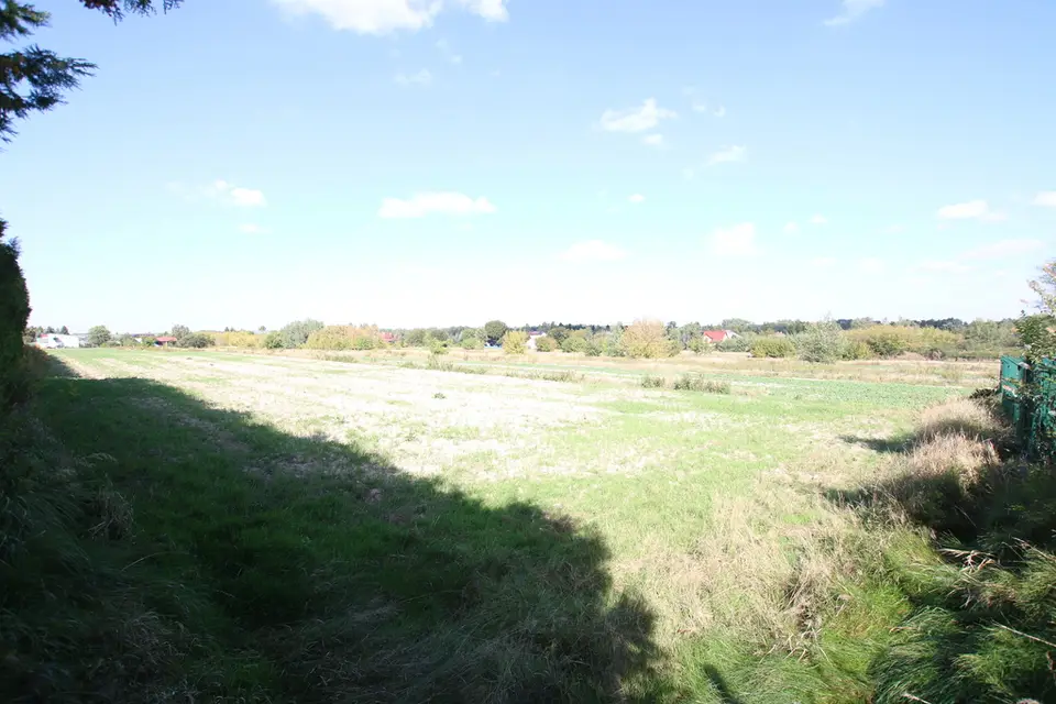 Zdjęcie 9