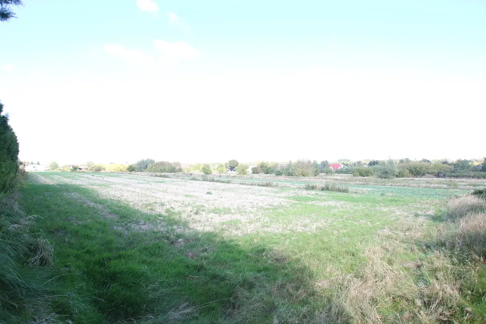 Zdjęcie 13