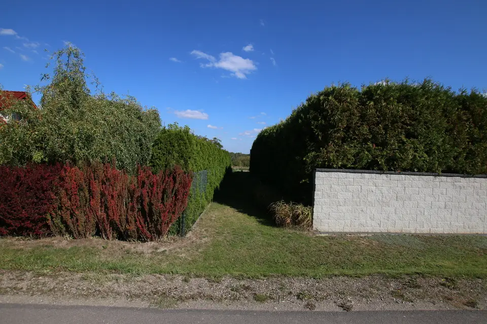 Zdjęcie 16