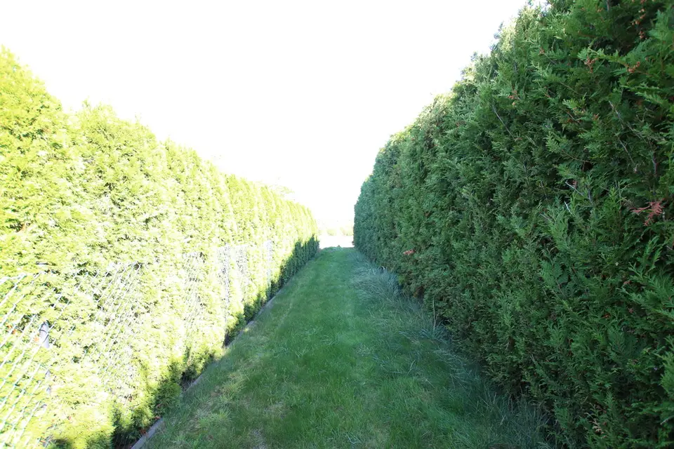Zdjęcie 17