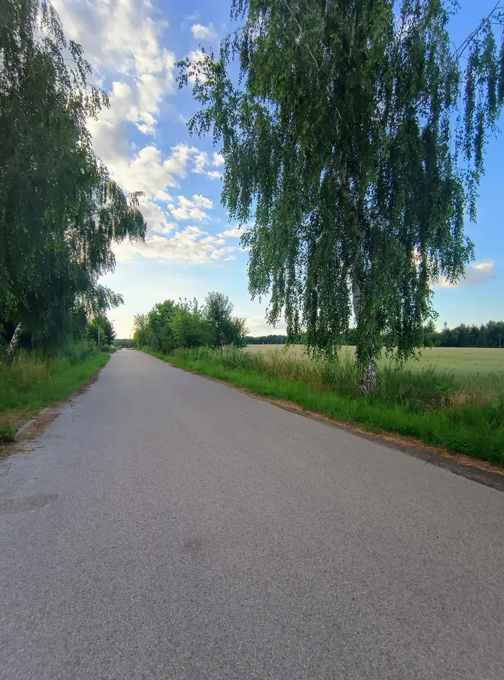 Zdjęcie 4