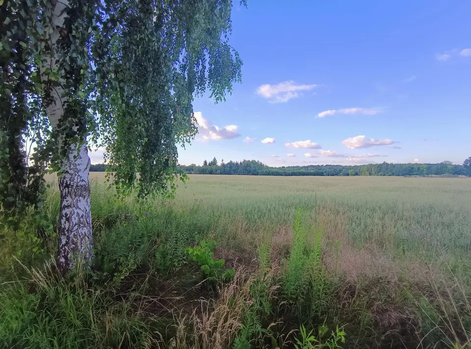 Zdjęcie 5