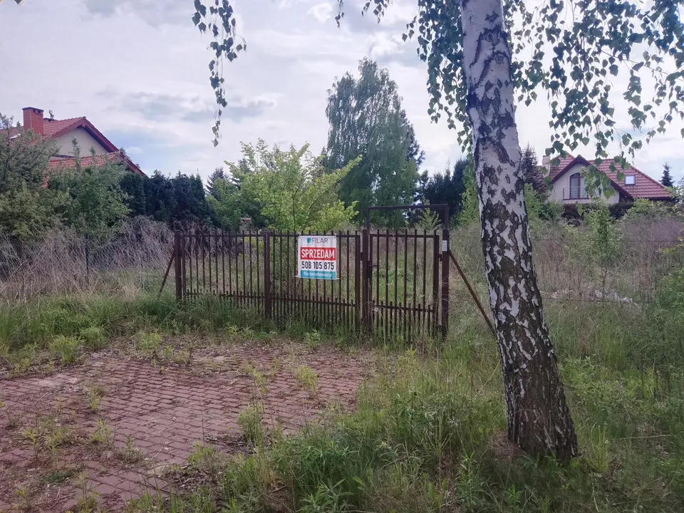 Zdjęcie 8