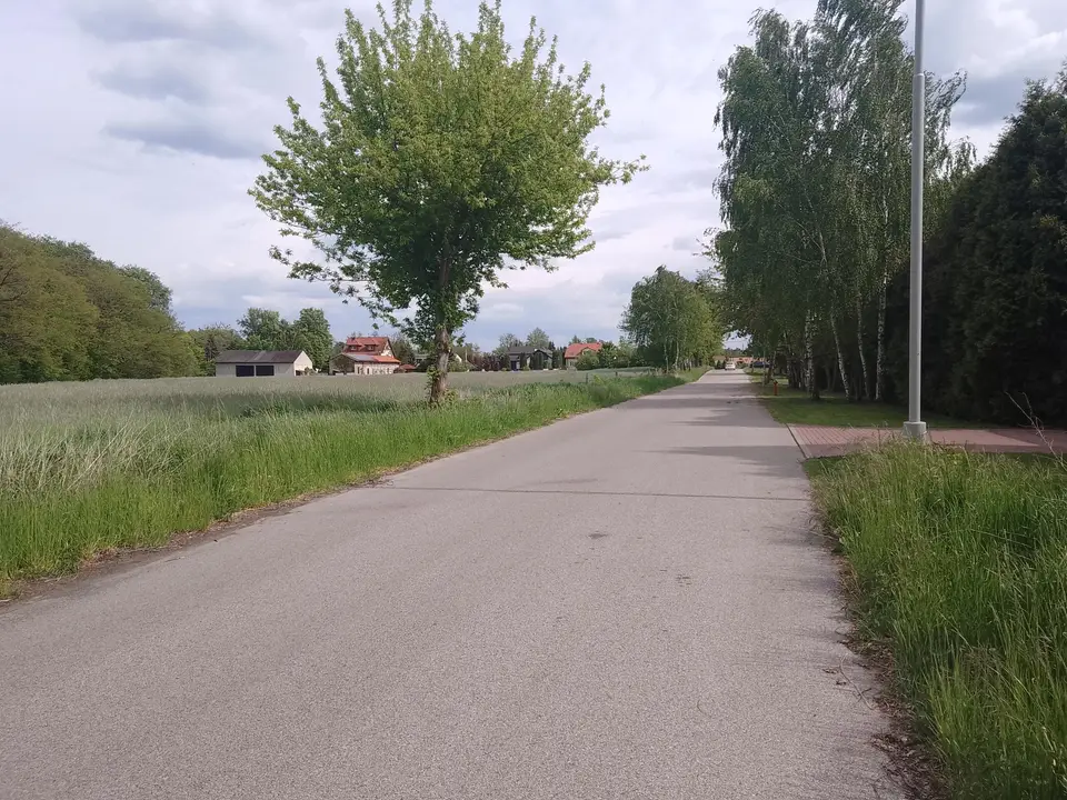 Zdjęcie 10
