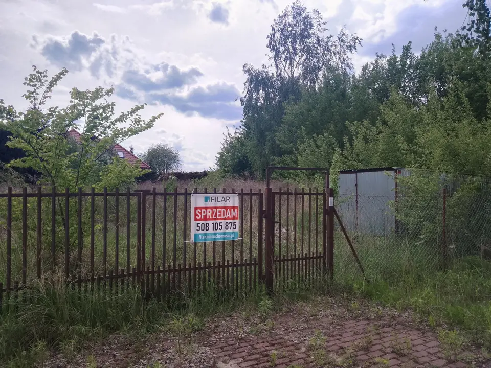 Zdjęcie 13