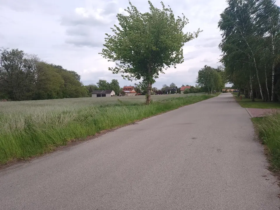 Zdjęcie 15