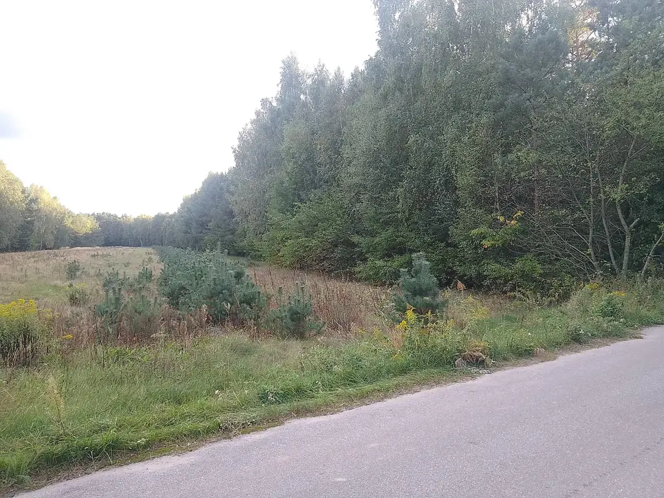 Zdjęcie 3