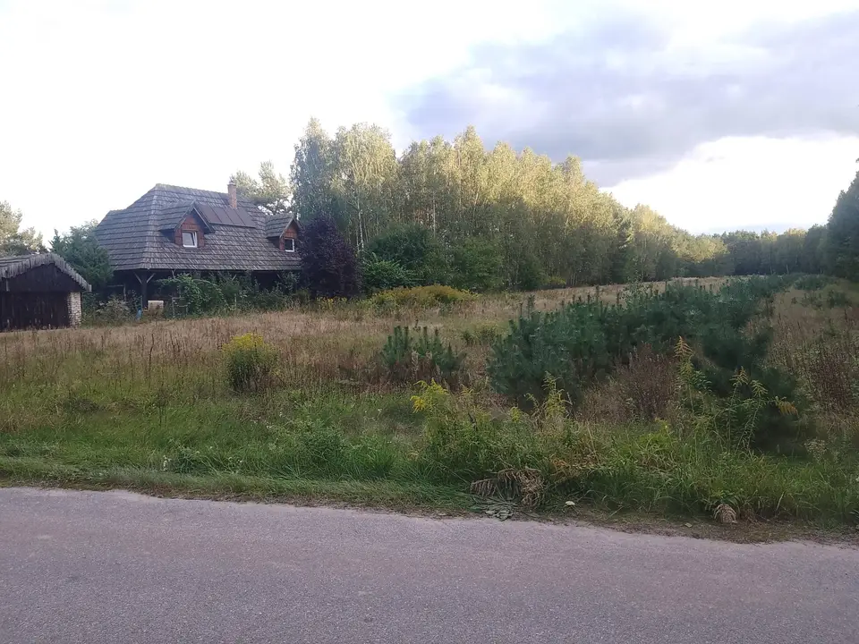Zdjęcie 4