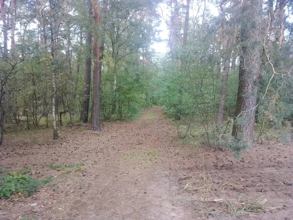 Zdjęcie 5